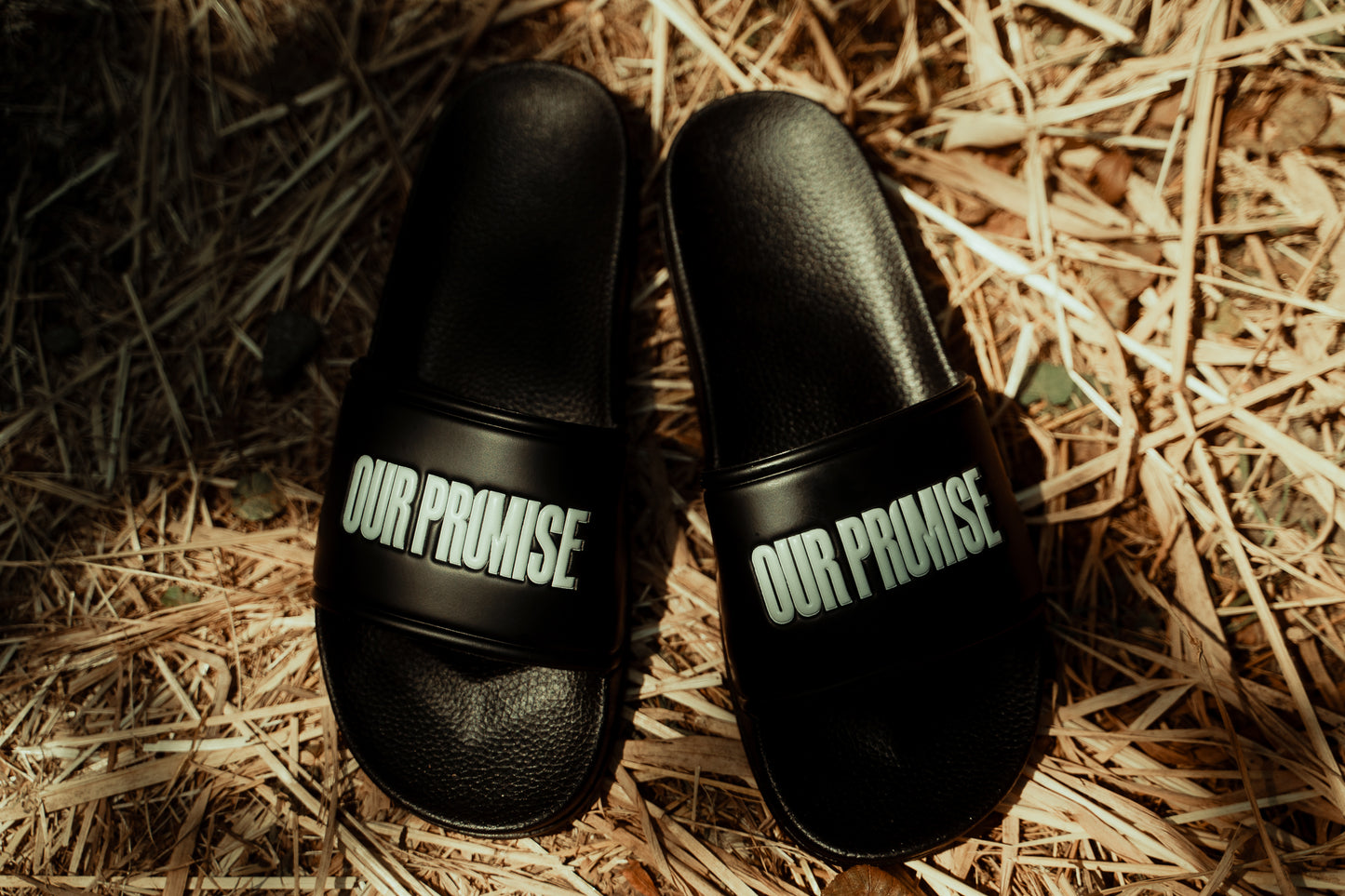 Logo Slides