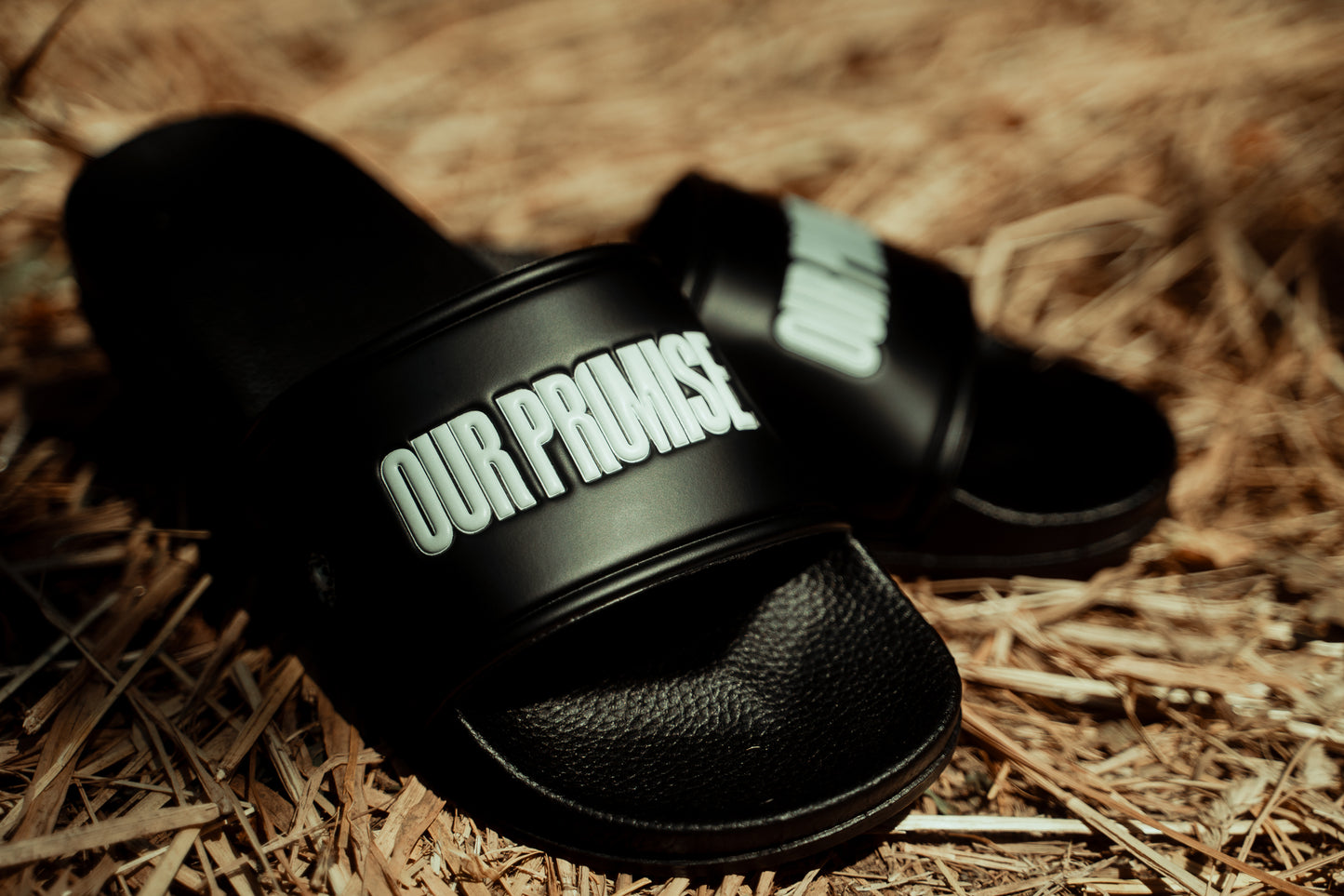 Logo Slides